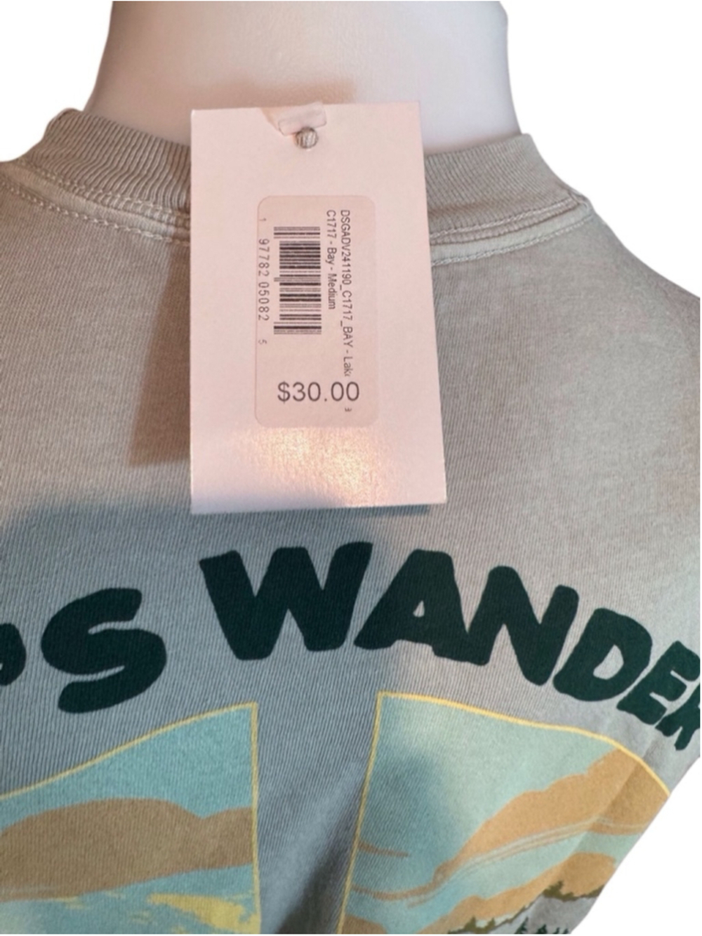 Men's T-Shirt, lets wander Medium, Light Gray - Picture 3 of 3